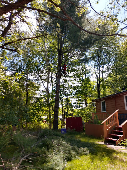 Brolex Tree Service