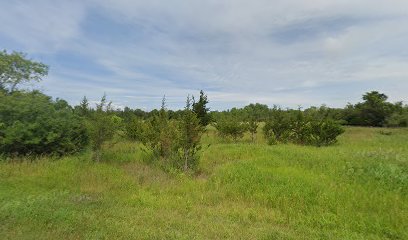 Henderson Shores Unique Area