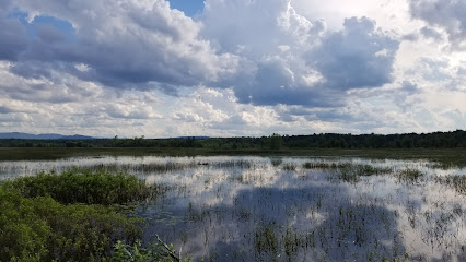Ausable Marsh Wildlife Management Area