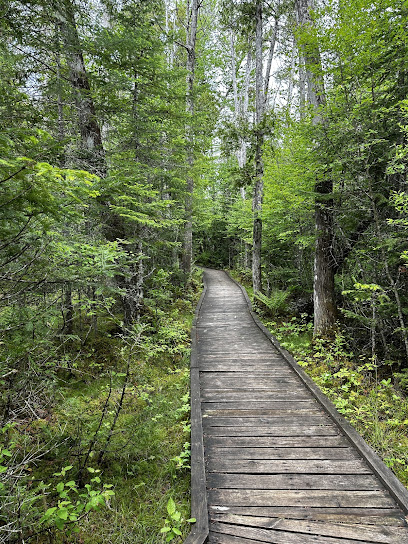 Silver Lake Bog Preserve