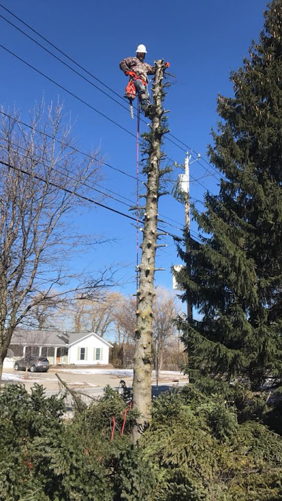 The Tree Experts