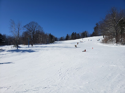 Beartown Ski Area Inc