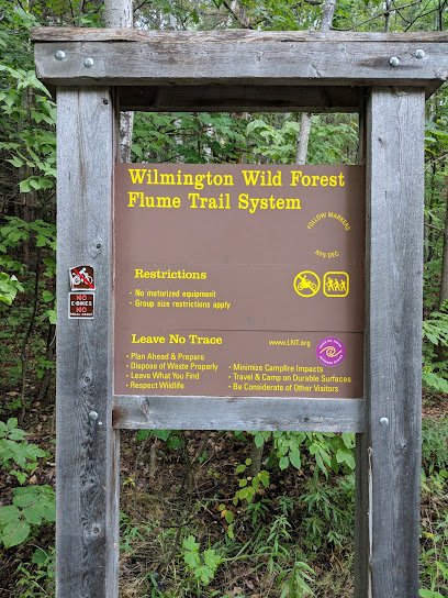 The Flume Trail System