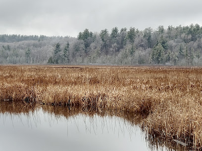 Wickham Marsh Wildlife Management Area
