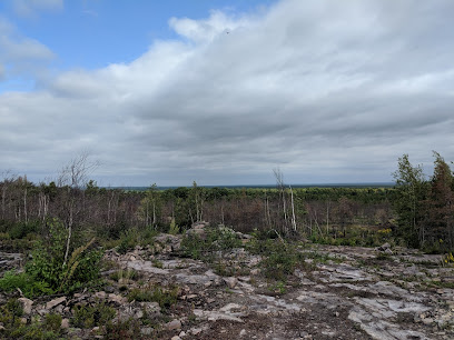 Flat Rock State Forest